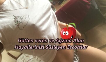 Kuzeyşehir Elit Escort